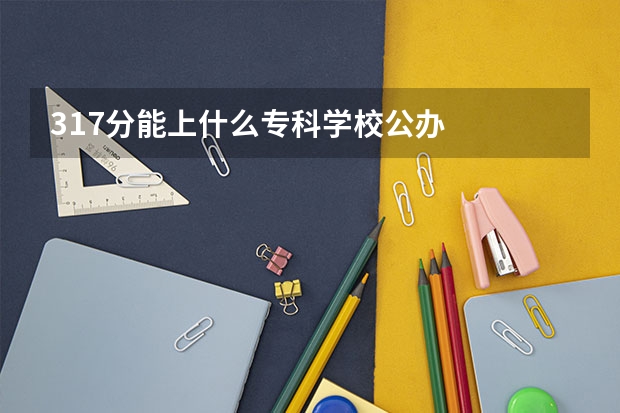 317分能上什么专科学校公办