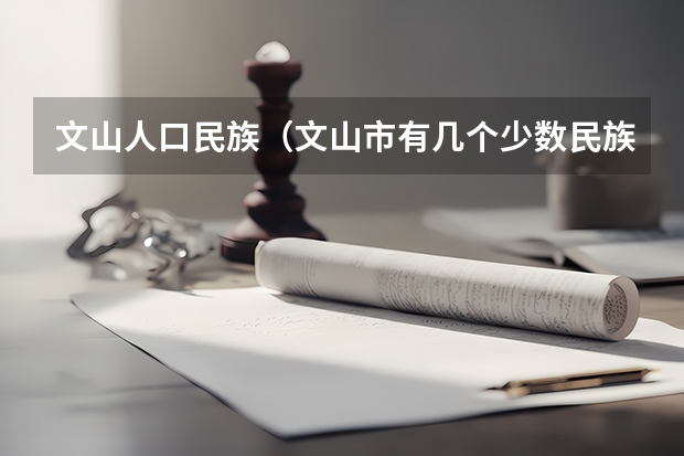 文山人口民族（文山市有几个少数民族）