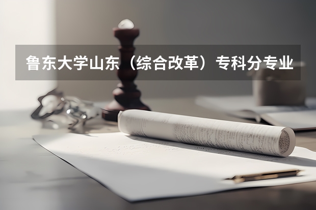 鲁东大学山东（综合改革）专科分专业录取分数线（山东外国语职业技术大学专升本录取线）