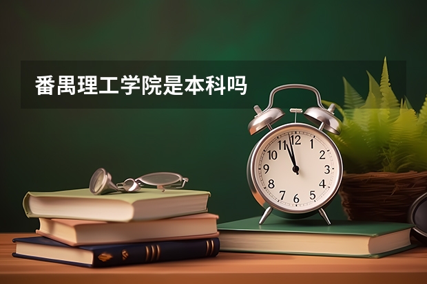 番禺理工学院是本科吗