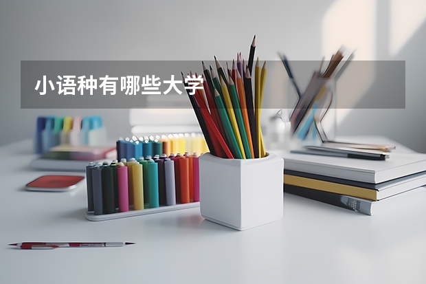 小语种有哪些大学