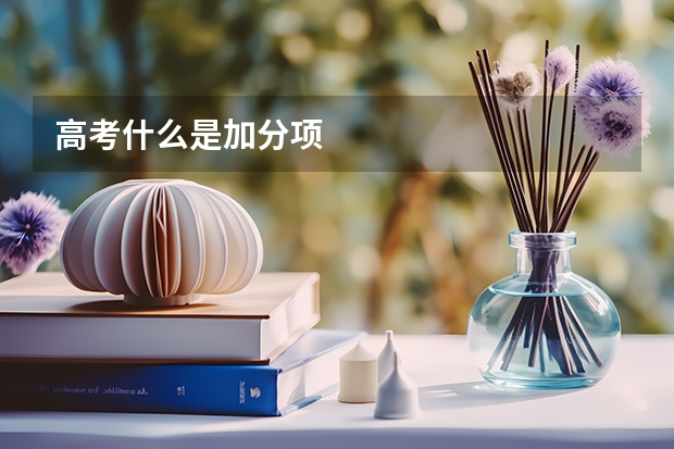 高考什么是加分项