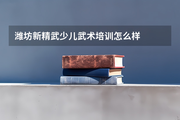 潍坊新精武少儿武术培训怎么样