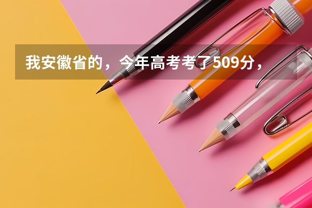 我安徽省的，今年高考考了509分，我是文科生，比二本线高8分，请问我能在安徽省内上哪些比较好的学校？
