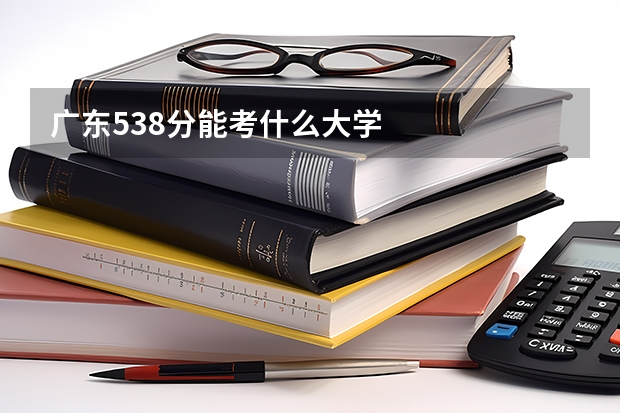 广东538分能考什么大学