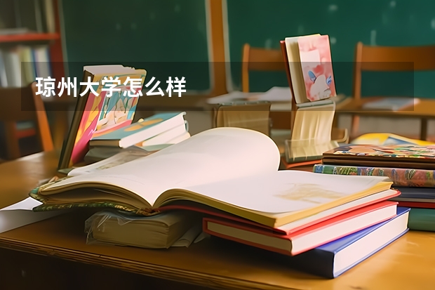 琼州大学怎么样