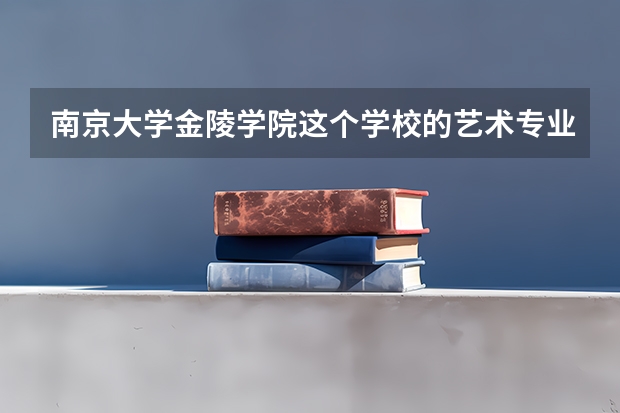 南京大学金陵学院这个学校的艺术专业好吗 急切寻求答案