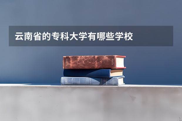 云南省的专科大学有哪些学校