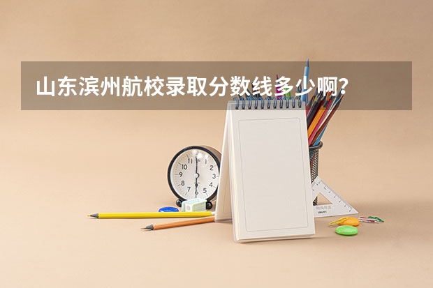 山东滨州航校录取分数线多少啊？