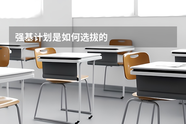 强基计划是如何选拔的