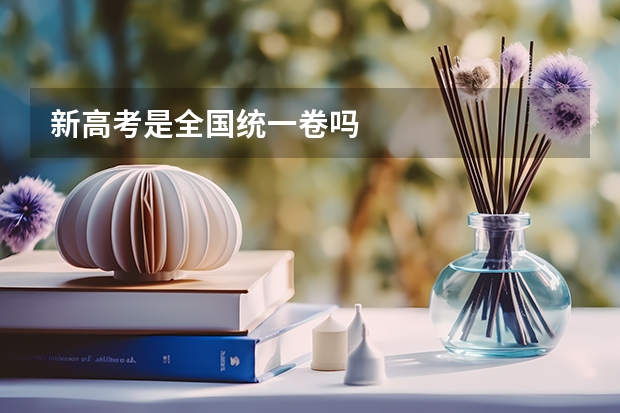 新高考是全国统一卷吗